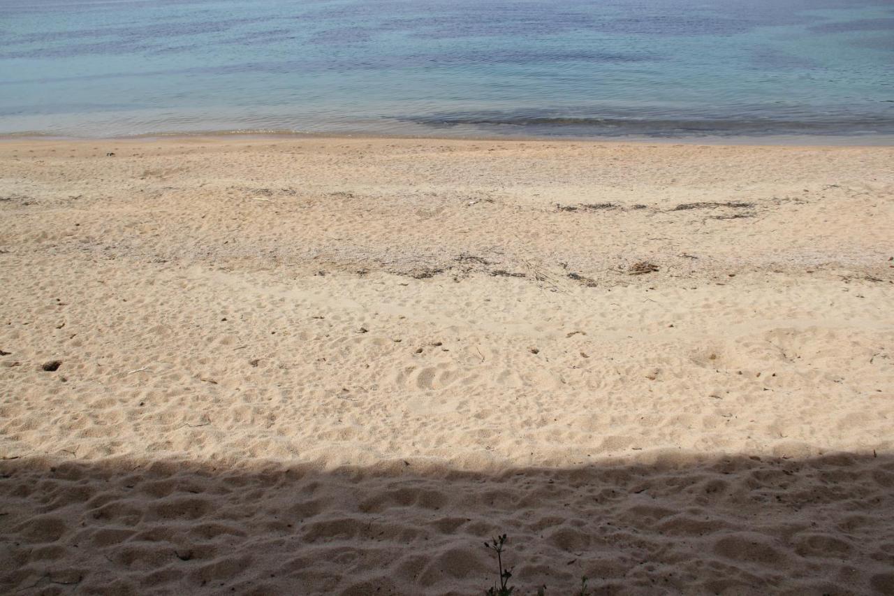 Studio Pieds Dans L'Eau Ajaccio  Exteriér fotografie